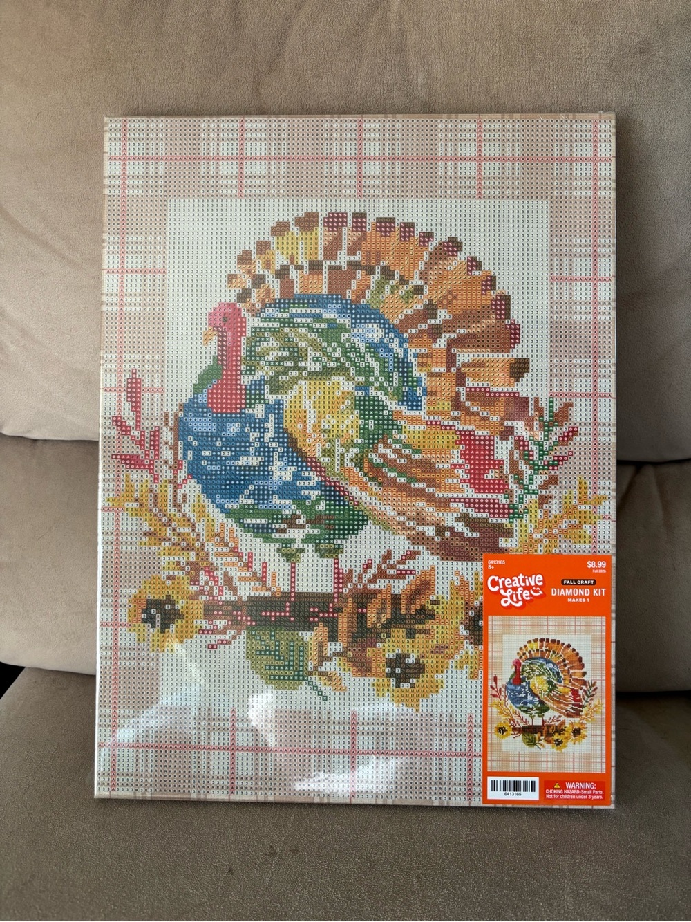 Multicolor Turkey Diamond Art Kit
